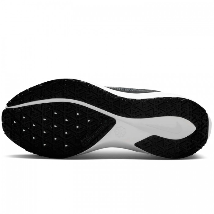 Кроссовки Nike W AIR ZM PEGASUS 41 GTX FQ1357-002 - 2