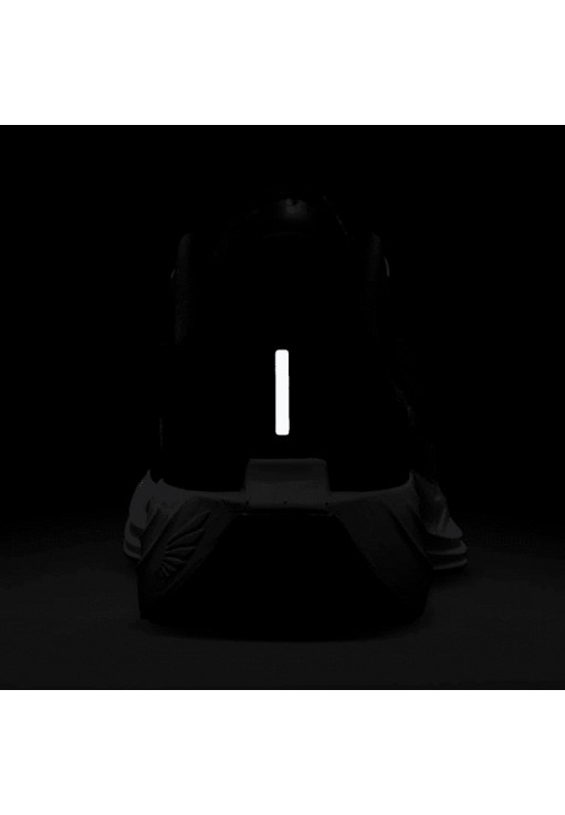 Кроссовки Nike PEGASUS PLUS