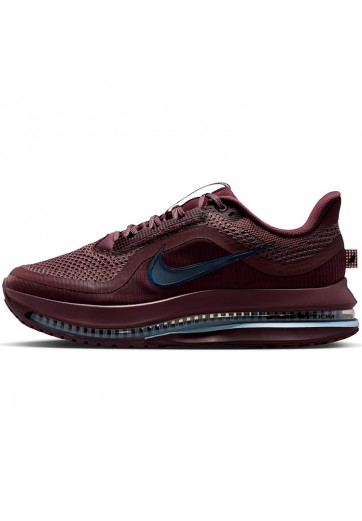 Incaltaminte Sport Nike PEGASUS PREMIUM