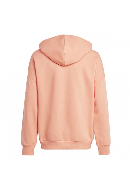 Толстовка Adidas U FI LOGO HD