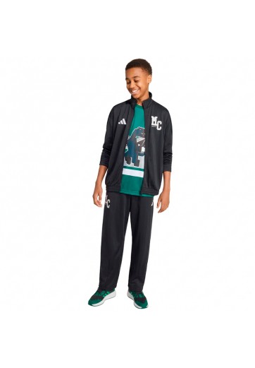 Спортивный костюм Adidas J MC