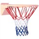 Plasa Wilson WILSON NBA DRV WTBA8002