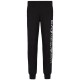 Брюки EA7 EMPORIO ARMANI LOGO SERIES COTTON JOGGERS 8NPPB5-PJ07Z-0203