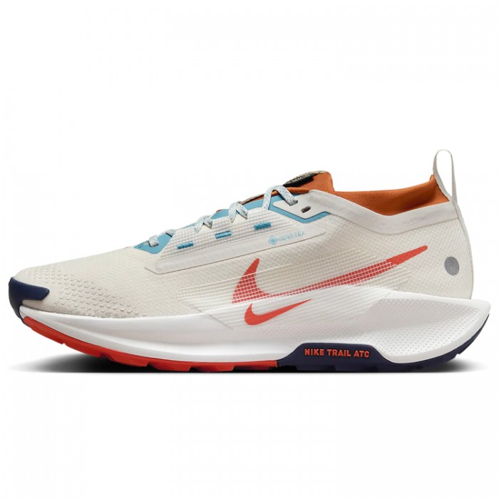 Кроссовки Nike PEGASUS TRAIL 5 GTX FQ0908-003