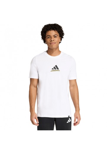 Футболка Adidas Germany Telstar Graphic