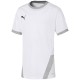 Футболка Puma teamGOAL 23 Jersey jr 70416004
