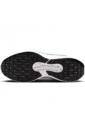 Кроссовки Nike W AIR WINFLO 11 GTX