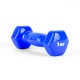 Gantera 1 kg SILAPRO Dumbbell 197005