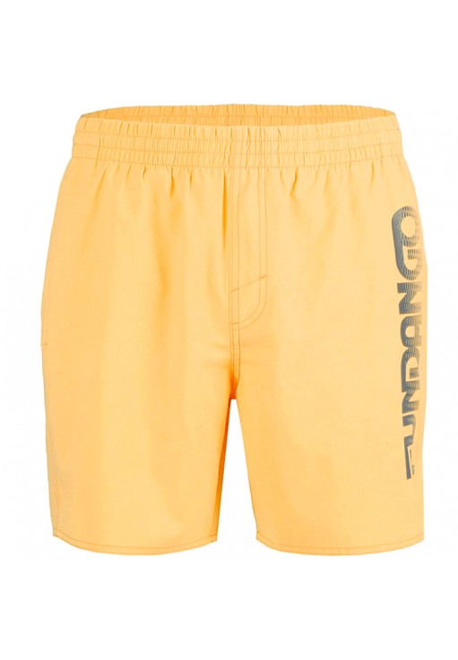 Шорты для плавания Fundango Bono Beach Shorts