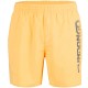 Шорты для плавания Fundango Bono Beach Shorts 1BY102-205 - 2