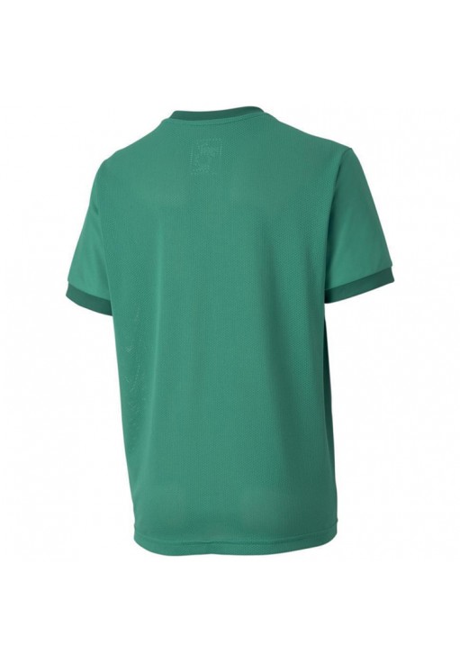 Футболка Puma teamGOAL 23 Jersey jr
