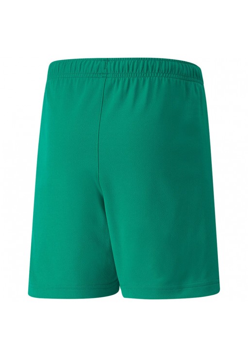 Шорты Puma teamRISE Short Jr