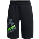 Шорты Under Armour UA BGS PROTOTYPE 2.0 LOGO SHORTS 1361817-007