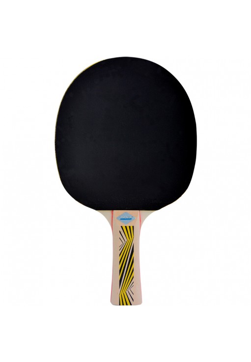 Ракетка для настольного тенниса Donic Legends 500
