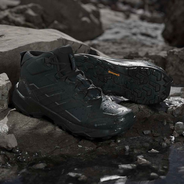 Ботинки Adidas TERREX SKYCHASER AX5 MID GTX - 2