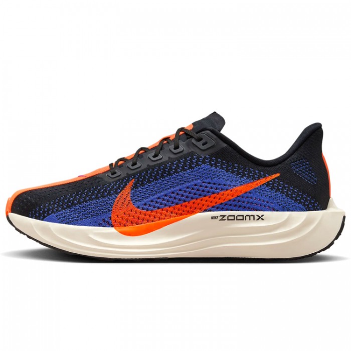 Кроссовки Nike PEGASUS PLUS FQ7262-008