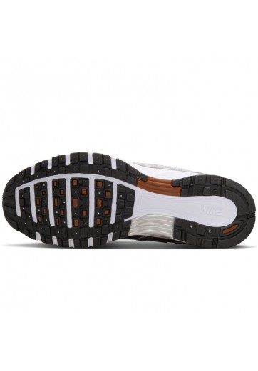 Incaltaminte Sport Nike W P-6000