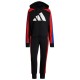 Costum sportiv Adidas W TS BIG LOGO GT3709