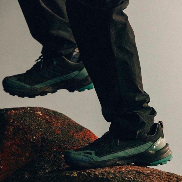 Incaltaminte Sport Adidas TERREX SKYCHASER AX5 GTX - 2