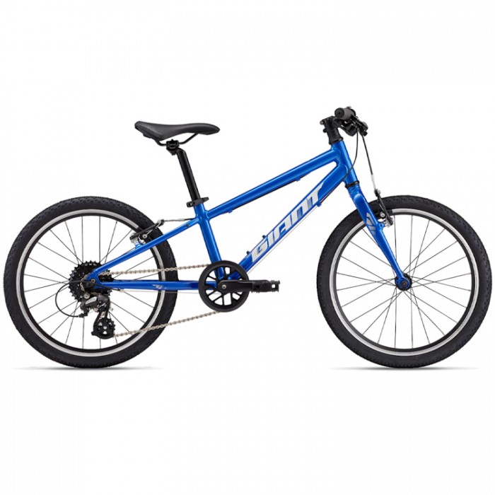 Bicicleta pentru copii Giant ARX 20 1012002210