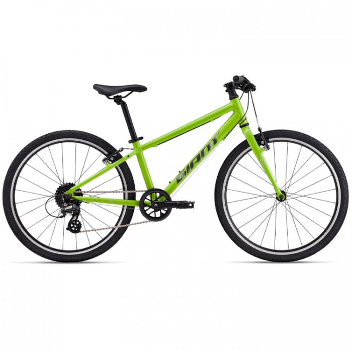 Bicicleta pentru copii Giant ARX 24 1013002410