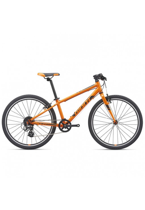 Велосипед для детей Giant ARX 24