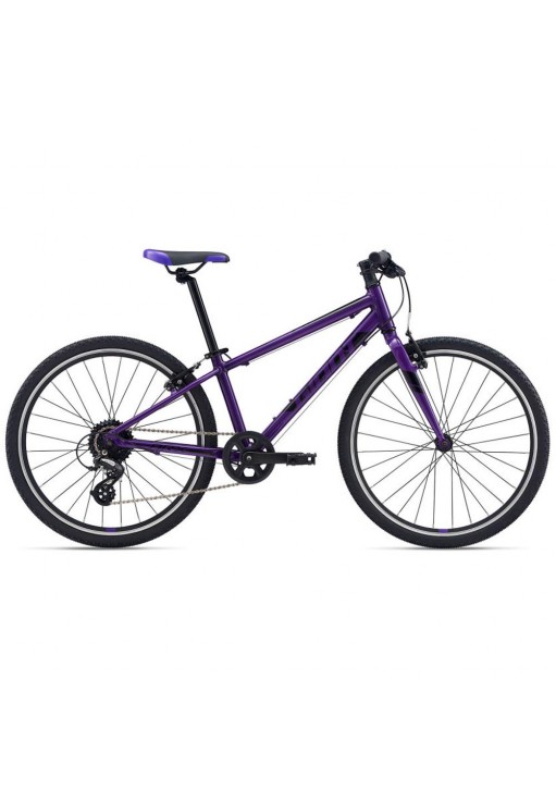 Bicicleta p/u copii Giant ARX 24