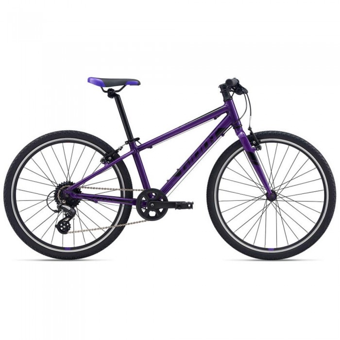 Bicicleta p/u copii Giant ARX 24 2104041610