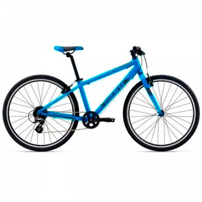 Bicicleta p/u copii Giant ARX 26 2104046210