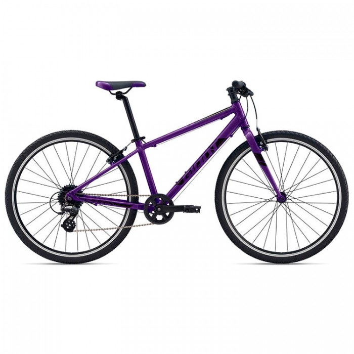 Bicicleta p/u copii Giant ARX 26 701576