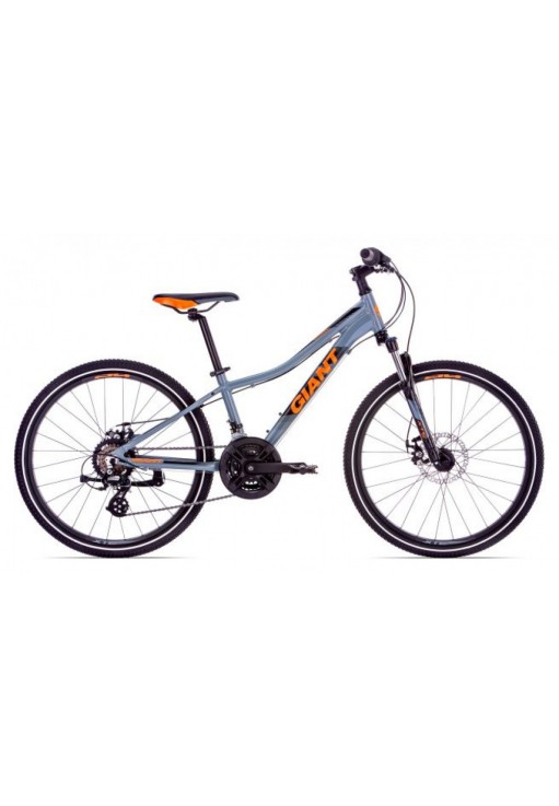Велосипед горный Giant XTC Jr 1 Disc 24 Gray