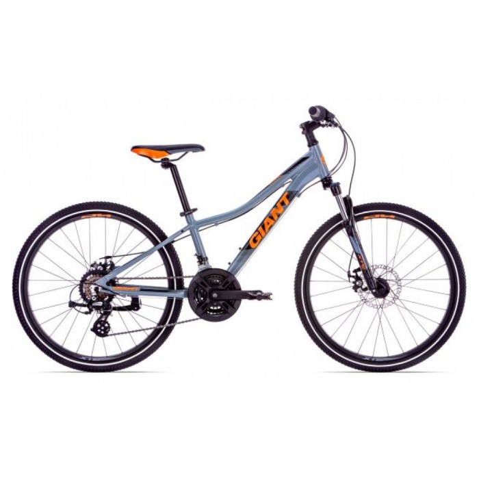 Велосипед горный Giant XTC Jr 1 Disc 24 Gray 90063210