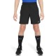 Шорты Nike B NK DF CHALLENGER SHORT FD0238-010