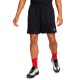 Sorti Nike M CLUB FLOW MESH SHORT FN3514-010