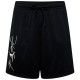 Шорты Nike M NK J ESS SSNL SHORT FN4647-010