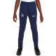 Брюки Nike PSG Y NK DF ACDPR PANT KPZ ESN FQ0058-410