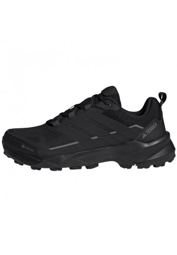 Incaltaminte Sport Adidas TERREX SKYCHASER AX5 GTX