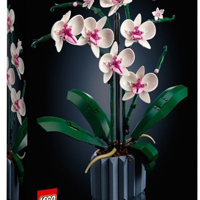 Constructor Lego 10311 10311