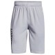 Шорты Under Armour UA Prototype 2.0 Wdmk Shorts 1361818-011