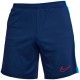 Шорты Nike K NK DF ACD23 SHORT K BR DX5476-411