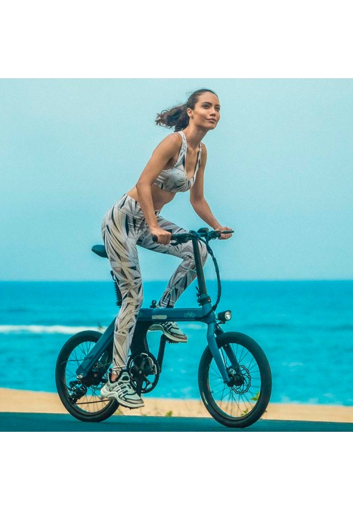 Electrobicicleta FIIDO D11 Folding