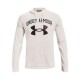 Толстовка Under Armour UA RIVAL TERRY BIG LOGO HD 1361559-112