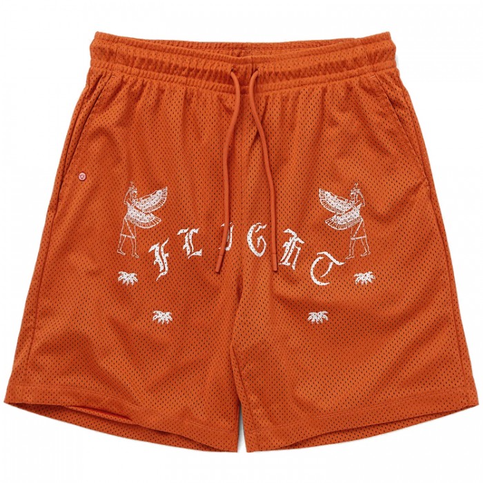 Шорты Nike M J FLT ARTST SRS MESH SHORT DX9720-812