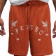 Шорты Nike M J FLT ARTST SRS MESH SHORT DX9720-812