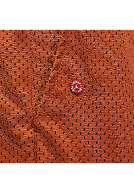 Шорты Nike M J FLT ARTST SRS MESH SHORT