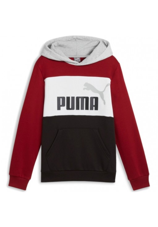 Толстовка Puma ESS BLOCK Hoodie FL B