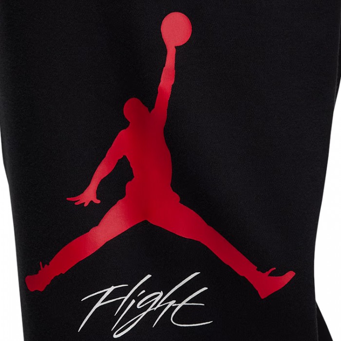 Брюки Nike M J ESS FLC BASELINE PANT FD7345-013 - 4