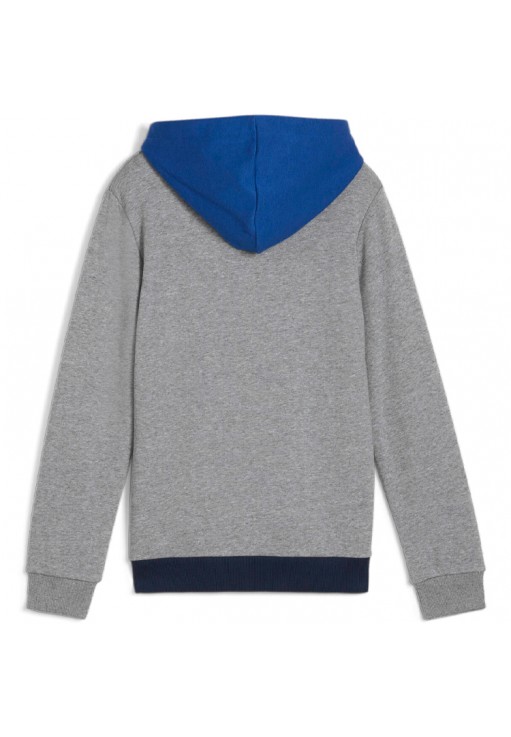 Толстовка Puma ESS BLOCK Hoodie TR B
