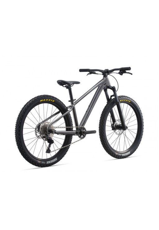 Bicicleta p/u copii Giant STP 26