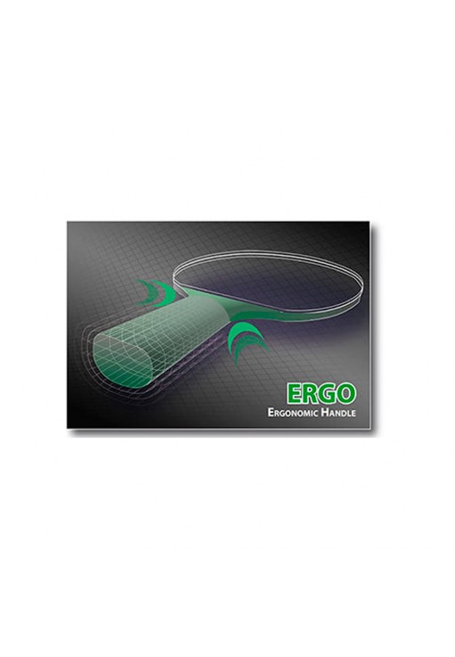 Ракетка для настольного тенниса Donic Legends 600 FSC